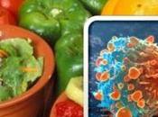 alimentos podrían reducir riesgo cáncer