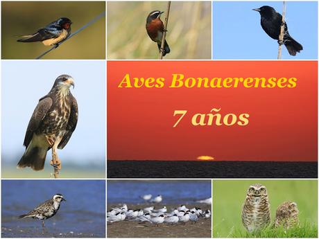 7° aniversario de Aves Bonaerenses