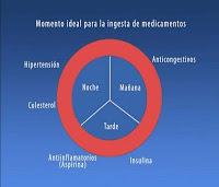 Comprueban la Eficacia de la Cronoterapia