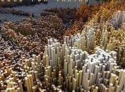 Fulcanelli estrena Solo variar