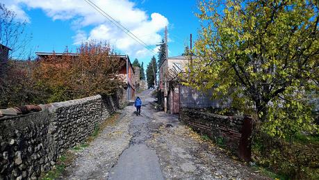 ¿Cómo llegar al monasterio Alaverdi desde Telavi? Telavi - Georgia