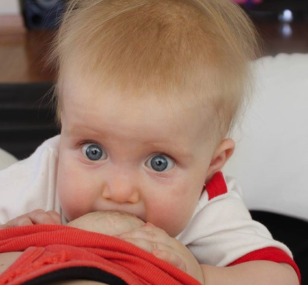 Resumiendo el año en imágenes Resumiendo el año en imágenes