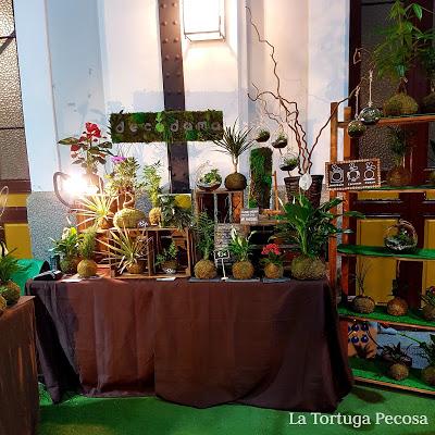 PLAN NAVIDEÑO: MERCADO DE MOTORES