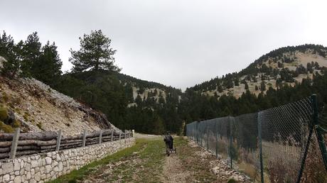 Pedró dels Quatre Batlles | Port del Comte Pedró dels Quatre Batlles | Port del Comte