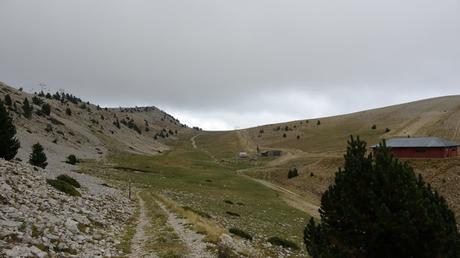 Pedró dels Quatre Batlles | Port del Comte
