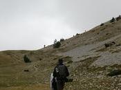 Pedró dels Quatre Batlles Port Comte