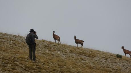 Pedró dels Quatre Batlles | Port del Comte Pedró dels Quatre Batlles | Port del Comte