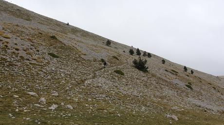 Pedró dels Quatre Batlles | Port del Comte Pedró dels Quatre Batlles | Port del Comte