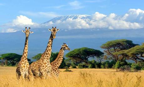 Cuándo-es-la-Mejor-Época-para-viajar-a-Kenia-1 Cuáles son los Destinos Turísticos más populares para 2019
