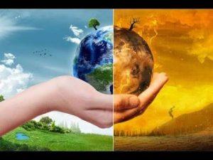 La Vida Detras De Las Abejas!!!!