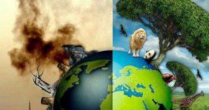 La Vida Detras De Las Abejas!!!!