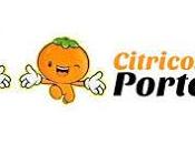 Nuevo concurso cítricos portelles