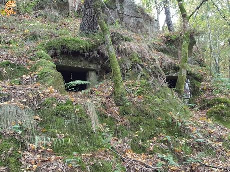 Sur de Ourense: Baixa Limia y Terras de Celanova en un fin de semana