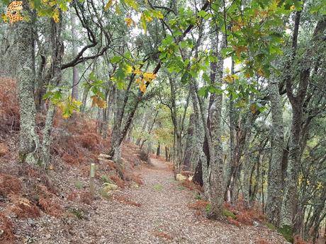 Sur de Ourense: Baixa Limia y Terras de Celanova en un fin de semana