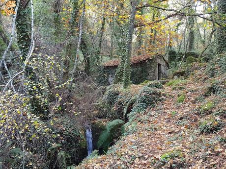 Sur de Ourense: Baixa Limia y Terras de Celanova en un fin de semana