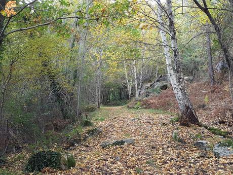 Sur de Ourense: Baixa Limia y Terras de Celanova en un fin de semana