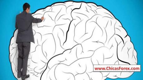 Los beneficios inesperados de la formación en programación neuro lingüística