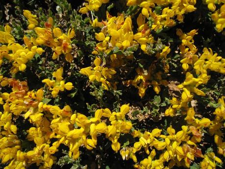 ‘The Witchtrain’ La Junta de Castilla y León presenta su proyecto para el tren Ponfeblino