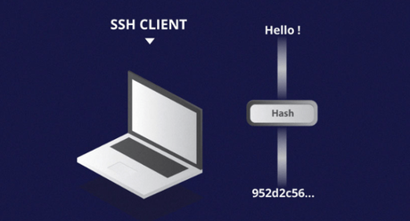 ¿Qué es y para qué sirve el protocolo SSH?