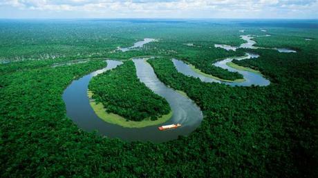 Mejor-época-para-visitar-las-selvas-tropicales-de-Perú-Amazonas ¿Cuál es la MEJOR época para viajar a Perú?