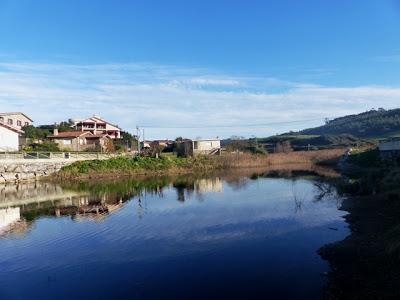 Gallinetas por Verdicio