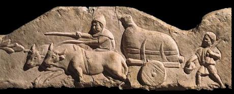 Negotium vinarium, transporte y comercio de vino en la antigua Roma