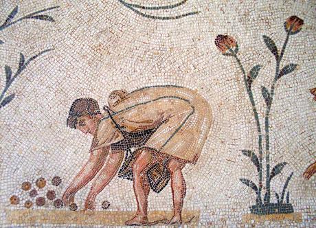 Grata poma, la fruta en la antigua Roma
