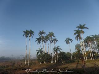 paisaje Cuba Isla Mía @norelysmorales