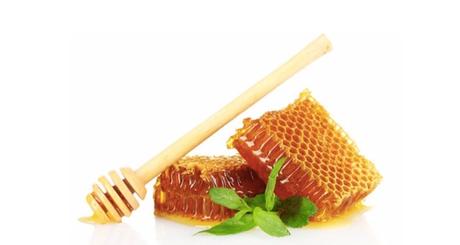 Novedades de Arkopharma para Disfrutar a Tope de la Navidad Novedades de Arkopharma para Disfrutar a Tope de la Navidad