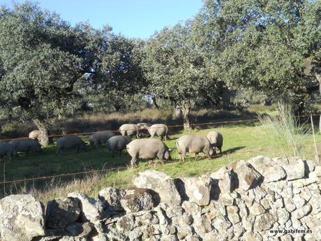 12 Apóstoles 2018 12 Apóstoles 2018