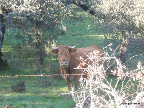 12 Apóstoles 2018 12 Apóstoles 2018