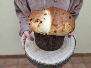Panettone vegano con chocolate Panettone vegano con chocolate