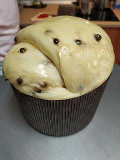 Panettone vegano con chocolate Panettone vegano con chocolate