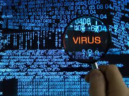 Entonces ¿qué Es Un Virus?