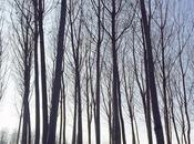 Somos precipitaciones