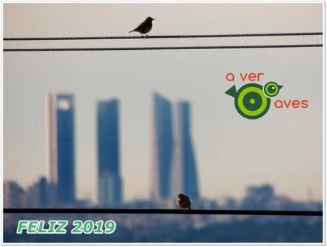 FELIZ 2019 con los bisbitas de las cuatro torres