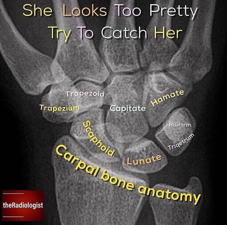 Radiologia convencional y anatomía Radiologia convencional y anatomía