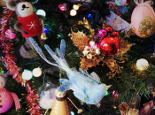 Adivinanza. ¿Cuál árbol hablo hoy?