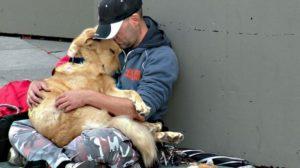 Decálogo Para El Nuevo Año