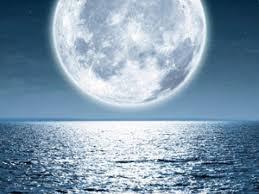 Fases Luna Nueva 2.019 para el Cheque de la Abundancia