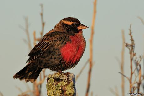 Lo más destacado de  2018
