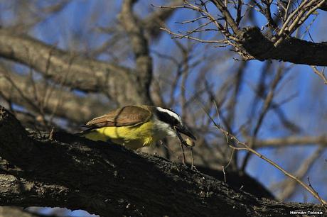 Lo más destacado de  2018