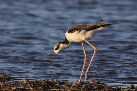 Lo más destacado de  2018