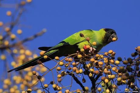 Lo más destacado de  2018