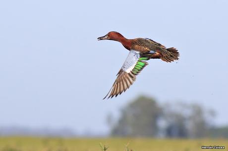 Lo más destacado de  2018
