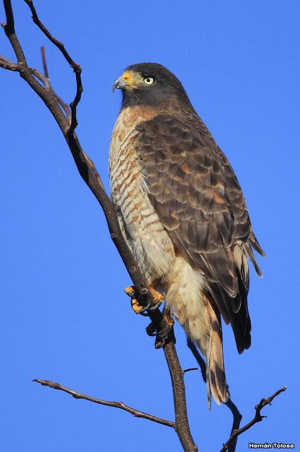 Lo más destacado de  2018