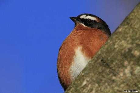 Lo más destacado de  2018