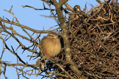 Lo más destacado de  2018