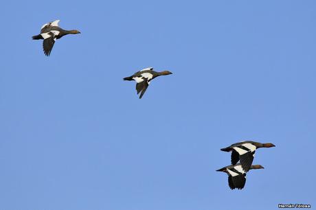 Lo más destacado de  2018