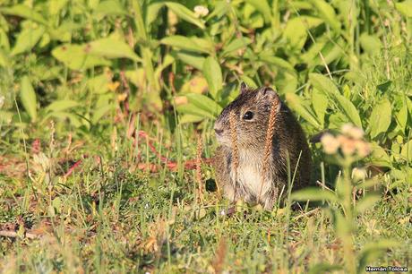 Lo más destacado de  2018